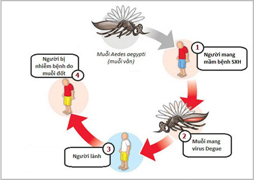 Sốt xuất huyết ở Kon Tum: Người dân vẫn chủ quan với dịch bệnh